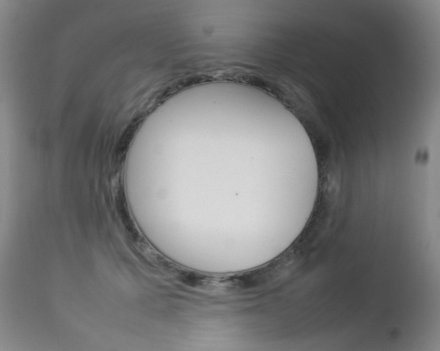 X0000112770607200908201351