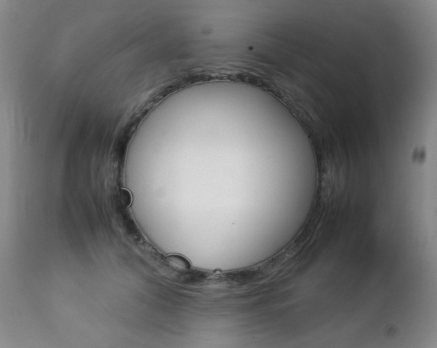 X0000112770608200908201351
