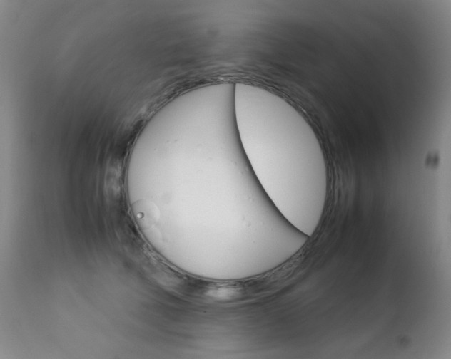 X0000112770610200908201351