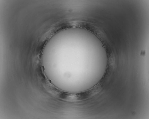 X0000112770611200908201351