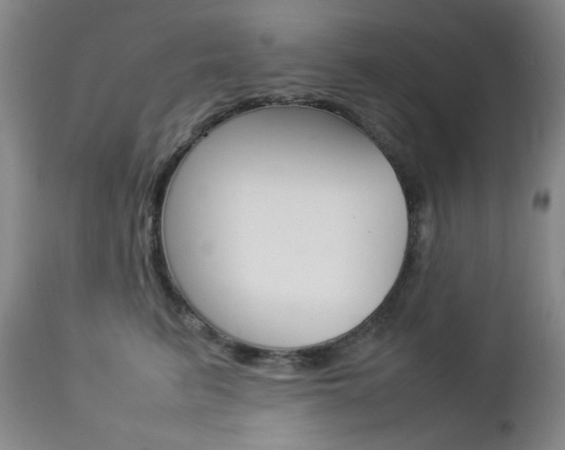 X0000112770615200908201351