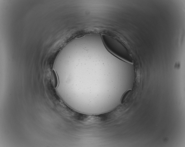 X0000112770617200908201351