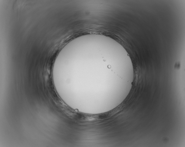 X0000112770618200908201351