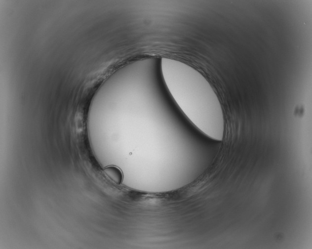 X0000112770620200908201351