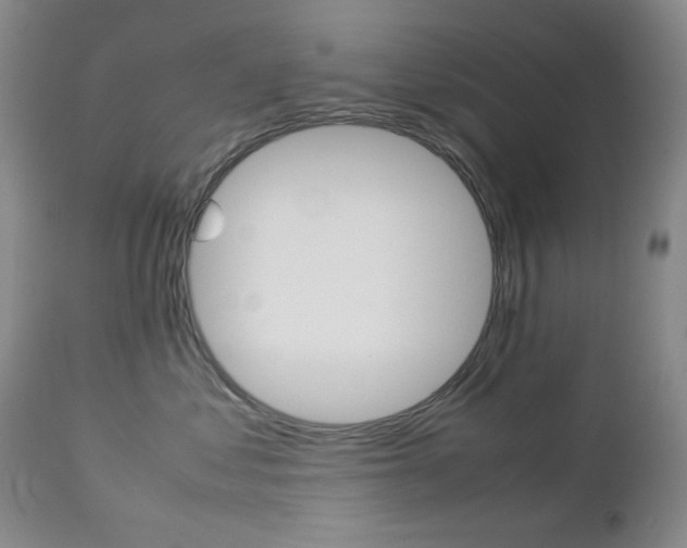 X0000112770621200908201351