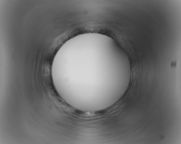 X0000112770623200908201351