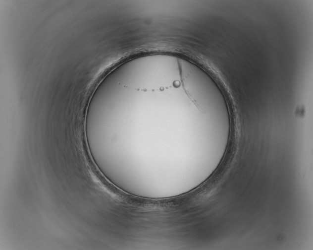 X0000112770625200908201350