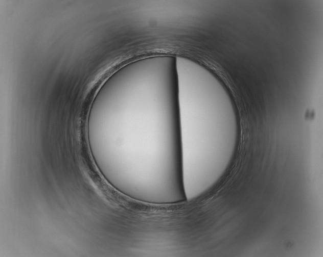 X0000112770626200908201350