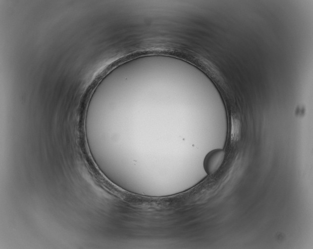 X0000112770627200908201350