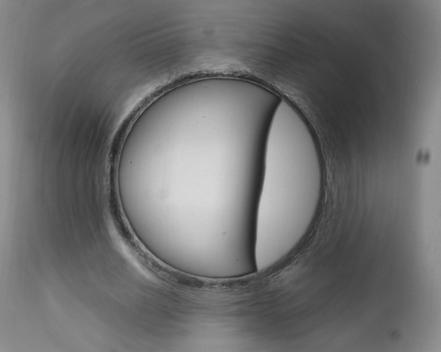 X0000112770630200908201350