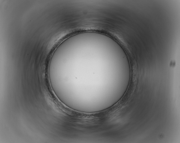 X0000112770631200908201350