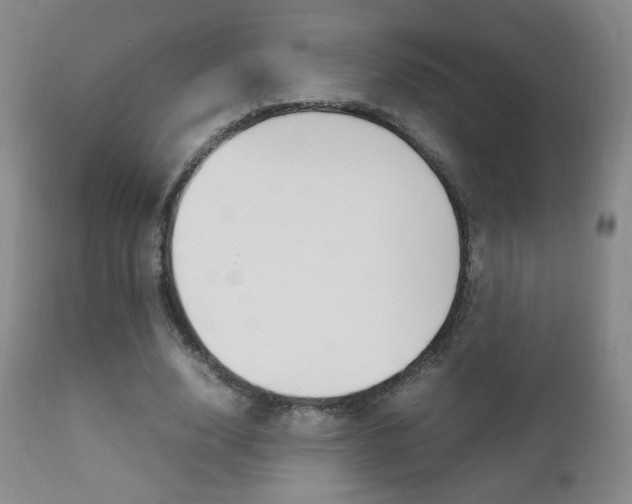 X0000112770632200908201351