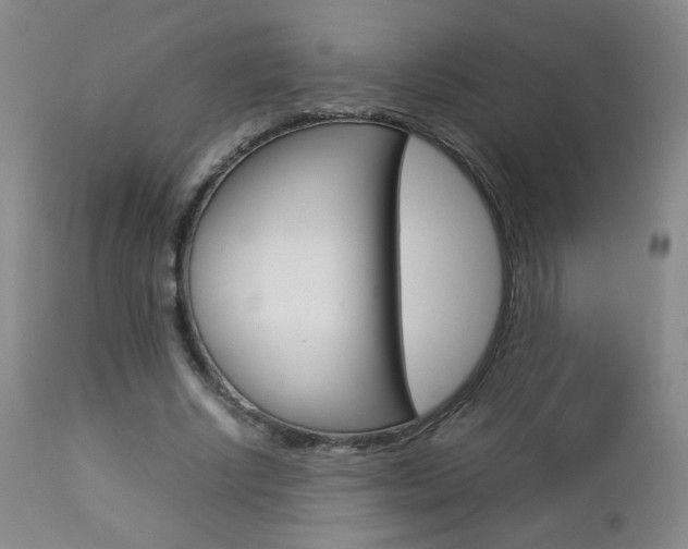 X0000112770634200908201351