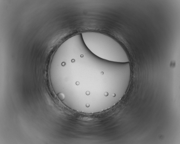 X0000112770635200908201351