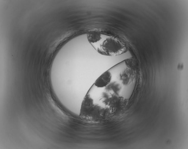 X0000112770637200908201351