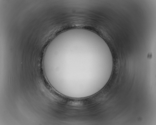 X0000112770639200908201351