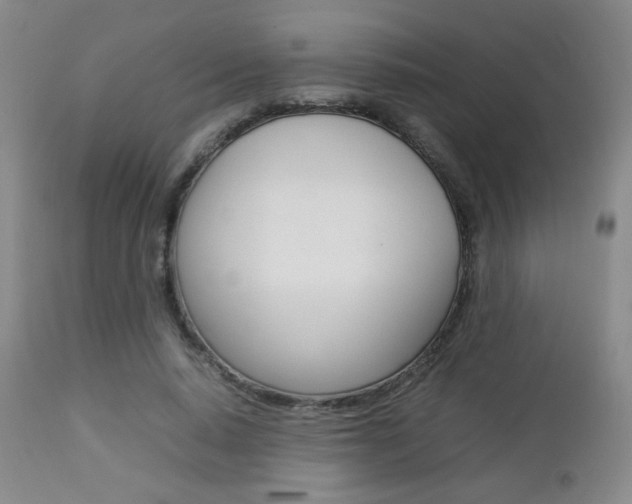 X0000112770640200908201351