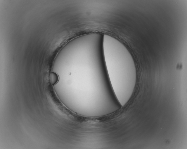 X0000112770642200908201351