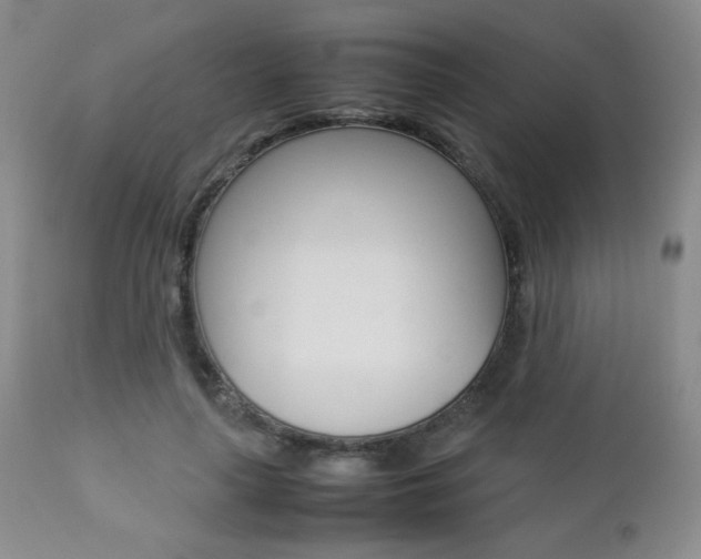 X0000112770643200908201351