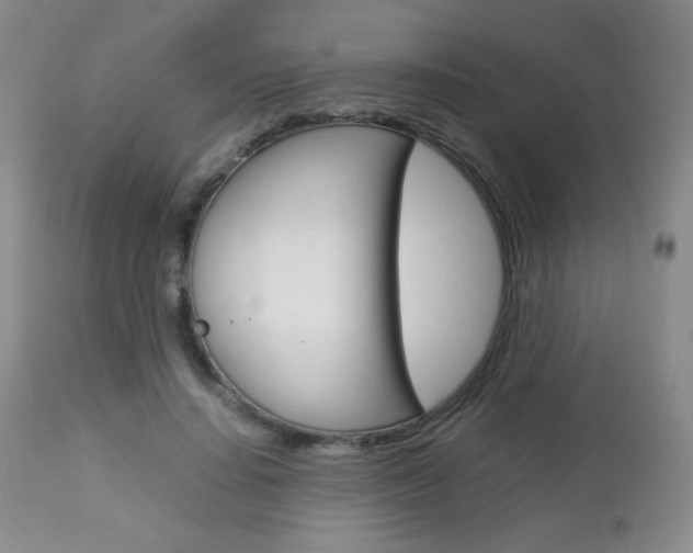 X0000112770644200908201351