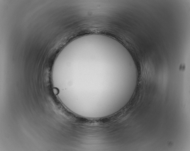 X0000112770646200908201351