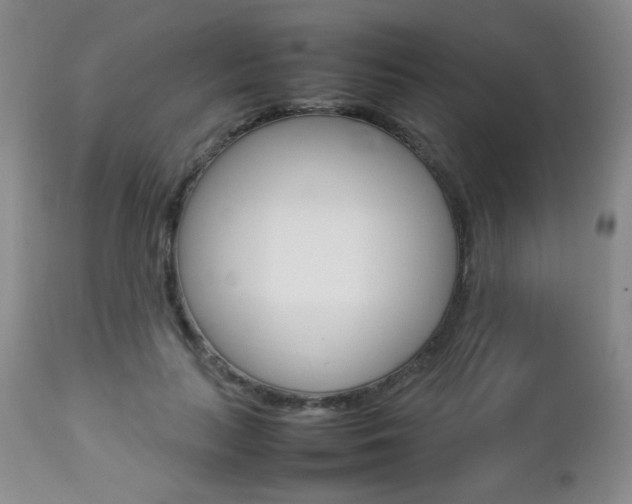 X0000112770647200908201351