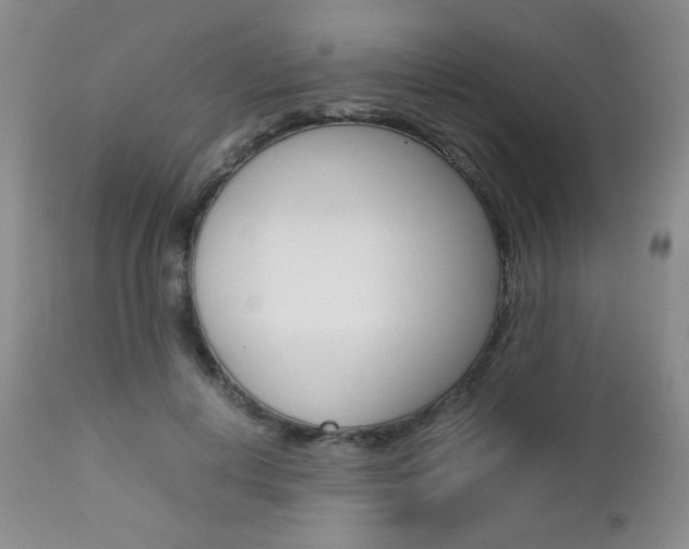 X0000112770648200908201351