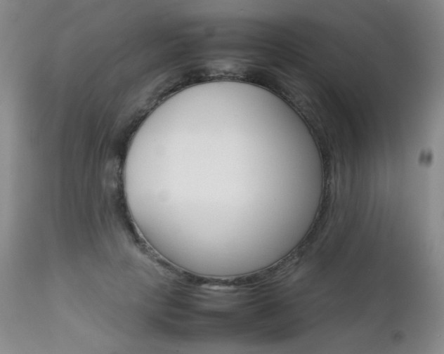 X0000112770649200908201351