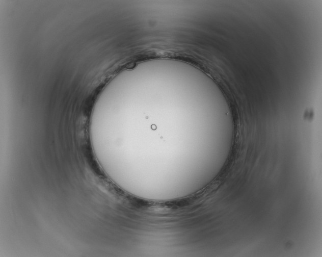 X0000112770650200908201351