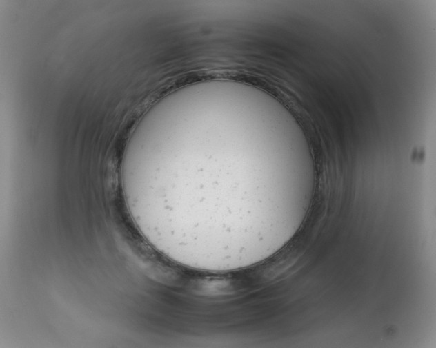 X0000112770651200908201351