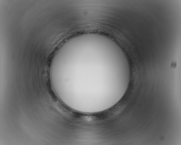 X0000112770654200908201351