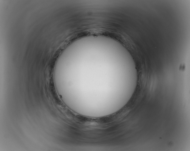X0000112770655200908201351