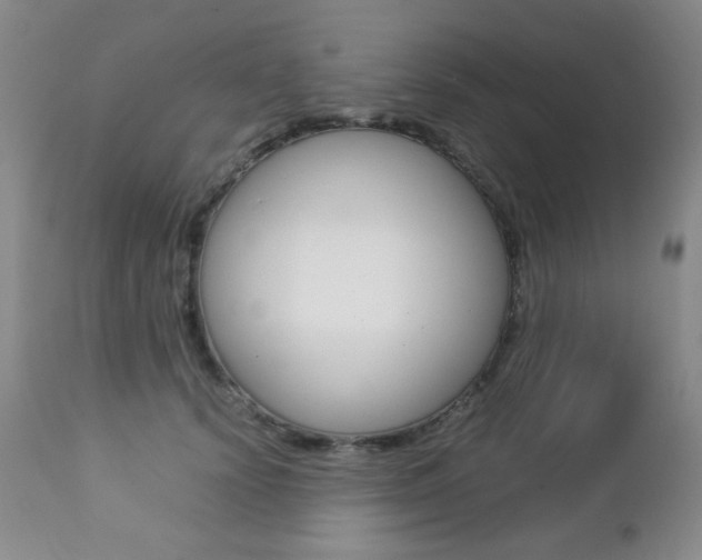 X0000112770656200908201351