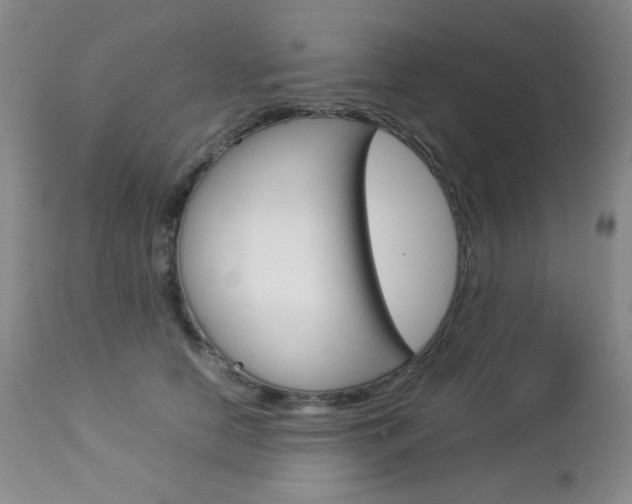 X0000112770658200908201351