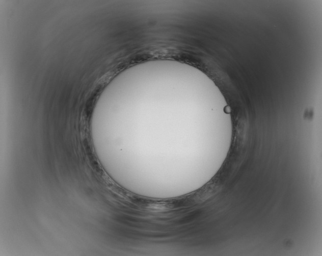 X0000112770659200908201351