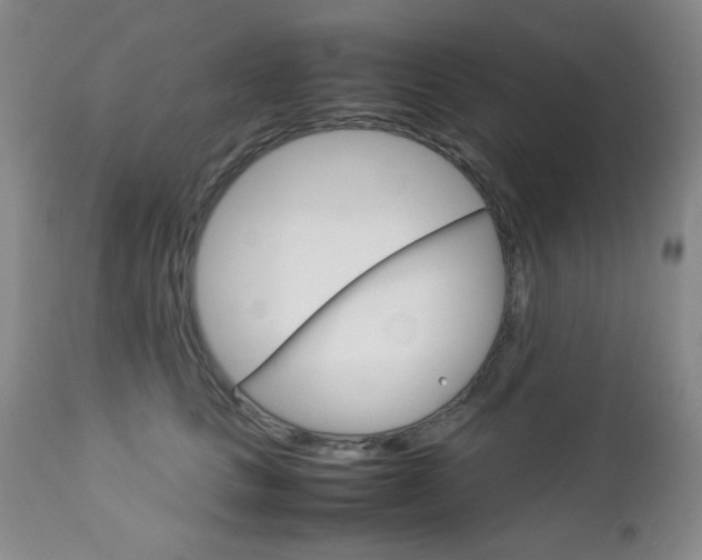 X0000112770661200908201351
