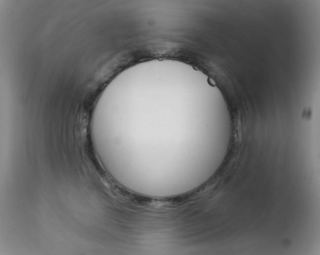 X0000112770664200908201351