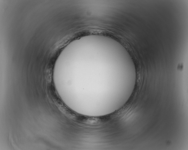 X0000112770666200908201351