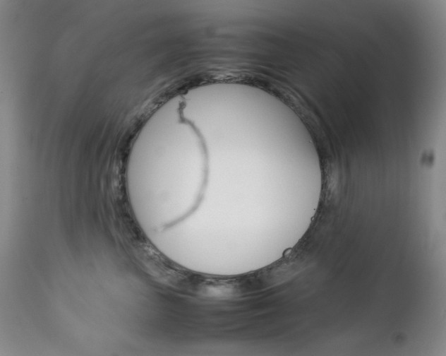 X0000112770667200908201351