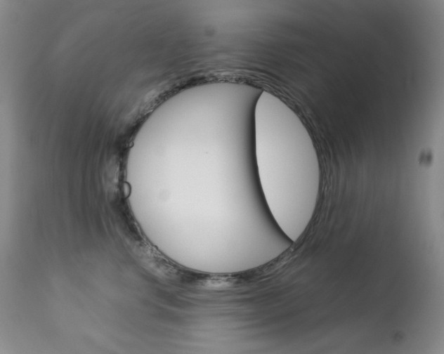 X0000112770668200908201351