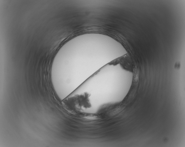 X0000112770669200908201351