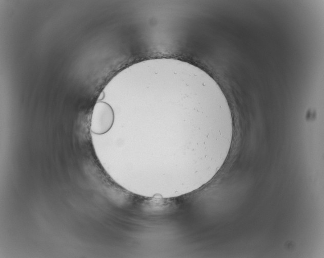 X0000112770672200908201351
