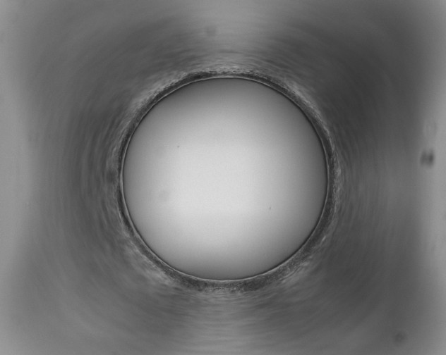 X0000112770673200908201350