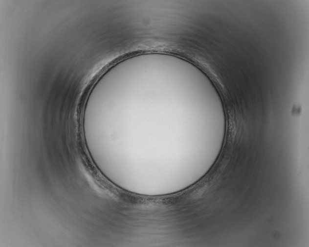 X0000112770674200908201350