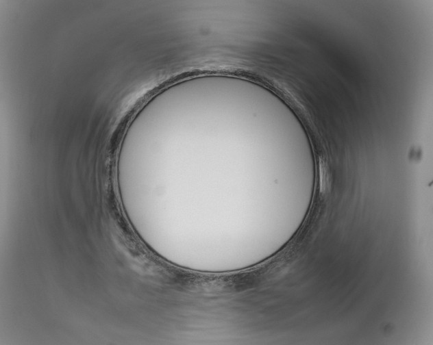 X0000112770675200908201350