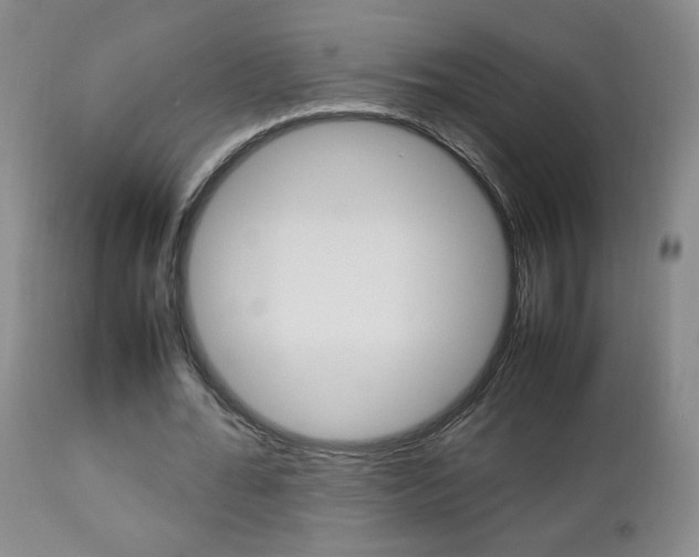 X0000112770676200908201350