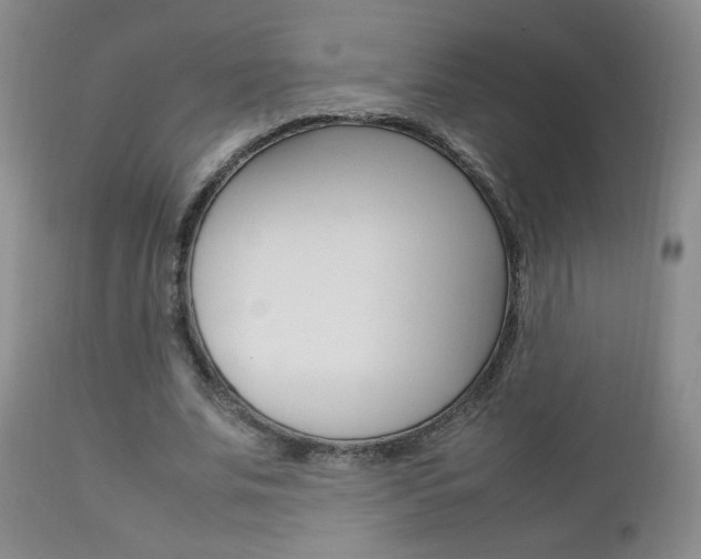X0000112770679200908201350
