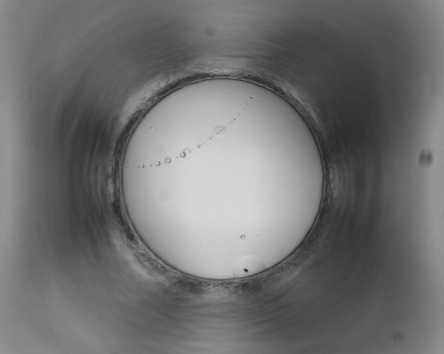 X0000112770682200908201350