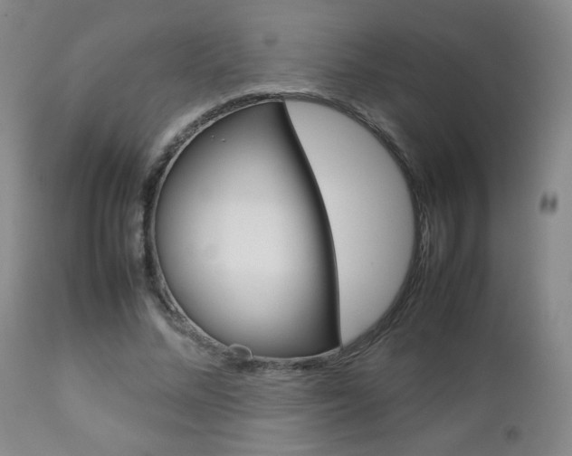 X0000112770684200908201350