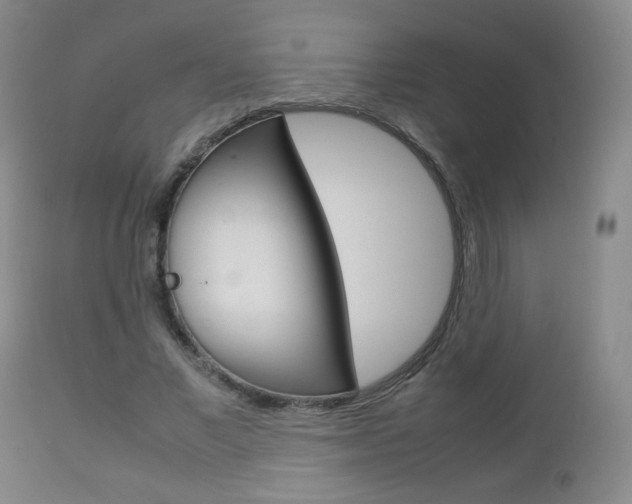 X0000112770685200908201350